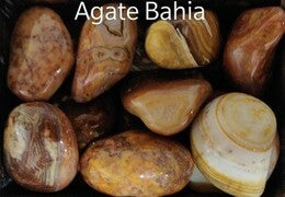 Agathe Bahia - Maison des sens